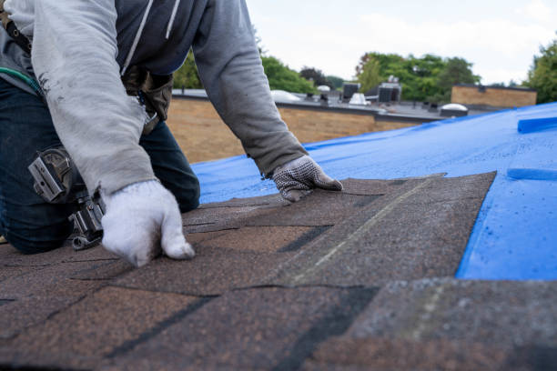 Best Roof Waterproofing Services  in Dasher, GA