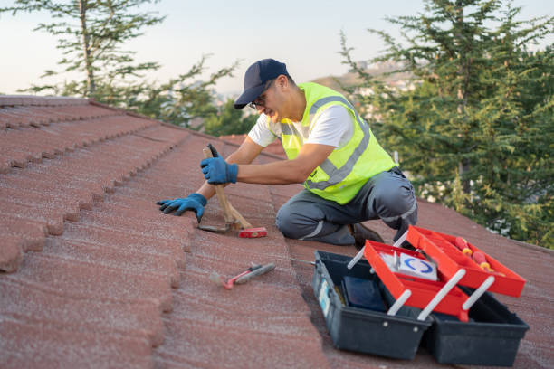 Best Roof Repair Services  in Dasher, GA