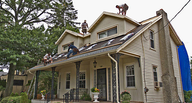 Professional Roofing Contractor in Dasher, GA