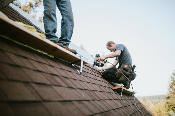 Best Residential Roofing Contractor  in Dasher, GA