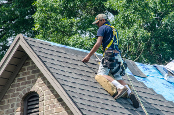 Best New Roof Installation  in Dasher, GA